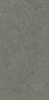 Керамогранит 610010004169 Forum Stone Iron Ret 60x120