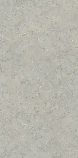 Керамогранит 610010004168 Forum Stone Silver Ret 60x120