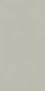 Керамогранит 610010004156 Forum Slim Silver Ret 60x120