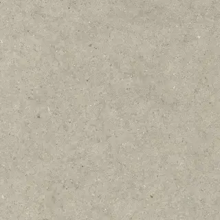 Керамогранит 610010004152 Forum Stone Desert Ret 80x80