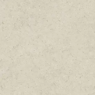 Керамогранит 610010004149 Forum Stone Pure Ret 80x80