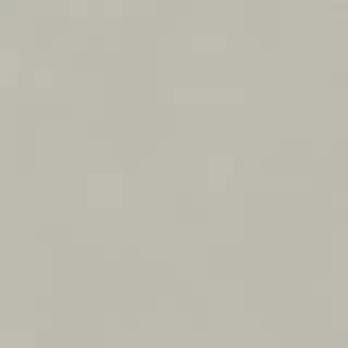 Керамогранит 610010004138 Forum Slim Silver Ret 80x80