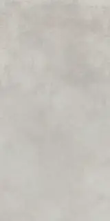 Керамогранит 610010004129 Millennium X2 Silver Ret 20mm 60x120