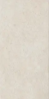 Керамогранит 610010004082 Fossil X2 Pure Ret 60x120