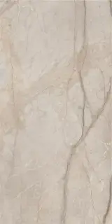 Керамогранит 610010002835 Stellaris Elegant Silver Nat Ret 60x120