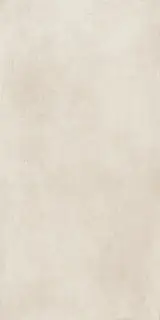 Керамогранит 610010002777 Snow 60x120