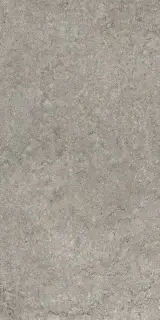 Керамогранит 610010002728 Discover Grey 60x120