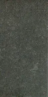 Керамогранит 610010000708 Auris Black 30х60