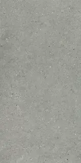 Керамогранит 44MI39R MITICA GRIS REC R10 60X120