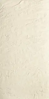 Керамогранит 44AP49R Alpes Blanco Rec 60x120