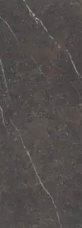 Керамогранит 42904 Royal Brown ST/100X275/R 100x275