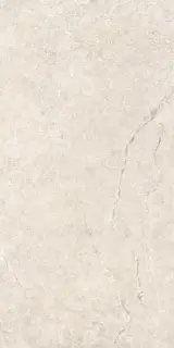 Керамогранит 38010 Alchemy Earth/50X100X2/A/R 50x100