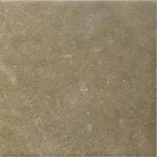 Керамогранит 31558 Spa&Pools Jungle Matt 15x15