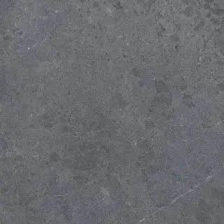 Керамогранит 28948 Alpine Anth SP/100X100/R 100x100