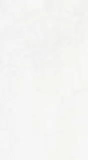 Керамогранит 28521 Alpine White SP/100X180/R 100x180