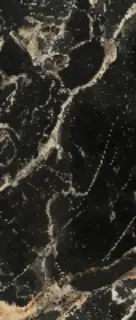 Керамогранит 276002 Black Gold Lap Ret 120x280