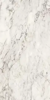 Керамогранит 274102 Breccia Capraia Lap Ret 60x120