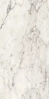 Керамогранит 274101 Breccia Capraia Nat Ret 60x120