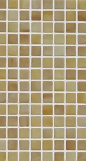 Мозаика 2576-В Safe 2.5х2.5 / 31.3х49.5