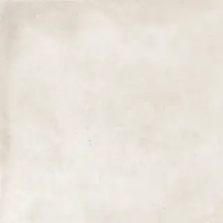 Керамогранит 25527 Shark-B/60X60/R 60x60