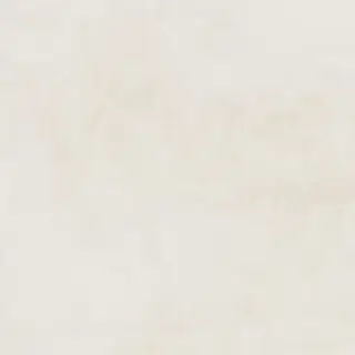 Керамогранит 25102 Planet Bone NT/60X60/R 60x60