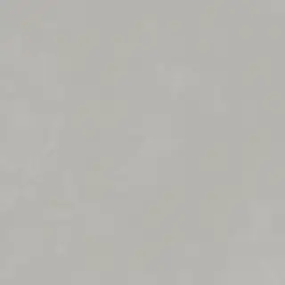 Керамогранит 25075 Planet Silver SF/60X60/C/R 60x60