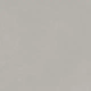 Керамогранит 25023 Planet Silver SF/90X90/C/R 90x90