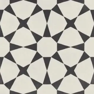 Керамогранит 23284 CUBAN WHITE STAR/22,3 22.3x22.3