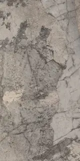 Керамогранит 179035 Grey Nat Ret 60x120