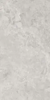 Керамогранит 141142 Mythology Regia Silver Brushed Rect 60x120