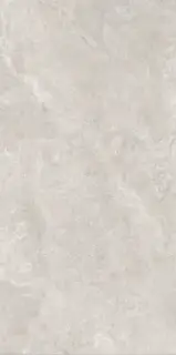 Керамогранит 141140 Mythology Regia White Brushed Rect 60x120