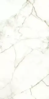 Керамогранит 117782 Emotion Levigato Rettificato 60x120