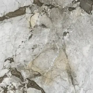 Керамогранит 06094 Calacatta Iron Satin/Ret 120x120