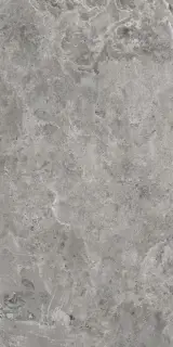 Керамогранит 050.869.0161.00714 Es.Erding Grey Luxglass 60x120