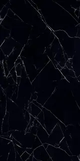 Керамогранит 04337 (02574A) Royal Nero Lev/Ret 60x120