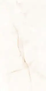 Керамогранит 004.869.0108.00283 ONIX WHITE leviglass Rect. 60x120