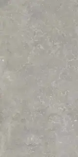 Керамогранит 0012928 Memento Bruges Grey Nat Rett 60x120