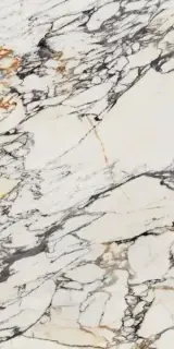 Керамогранит 0009066 Corchia Gold Nat 60x120