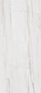 Керамогранит 0006903 NOBILE MONTBLANC RETT 60x120