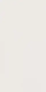 Плитка E829(D726) 4D Plain White Matt 40х80