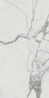 Керамогранит 610010001682 Charme Evo Statuario Nat Ret 80x160