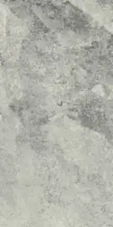 Керамогранит 610015000358 Charme Extra Silver Nat Ret 30x60