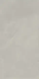 Керамогранит 610010002684 Continuum Silver 80x160