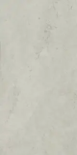 Керамогранит 610010002628 Metropolis Absolut Silver Nat Rett 60x120