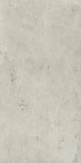 Керамогранит 610010002343 Metropolis Absolut Silver Nat Rett 80x160