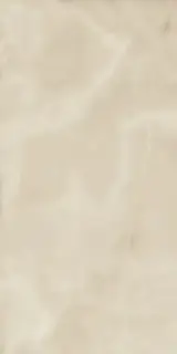 Керамогранит 610010001412 Charme Evo Onyx Nat Ret 60х120