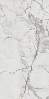 Керамогранит 610010001410 Charme Evo Statuario Nat Ret 60х120