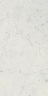 Керамогранит 610010001194 Charme Extra Carrara Nat Ret 60x120