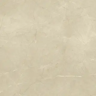 Керамогранит 610010001189 Charme Extra Arcadia Nat Ret 60x60