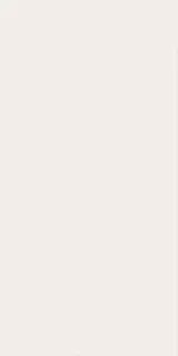 Плитка 600010002159 White Mat 40x80